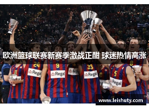 欧洲篮球联赛新赛季激战正酣 球迷热情高涨