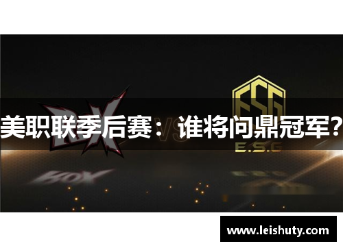 美职联季后赛：谁将问鼎冠军？